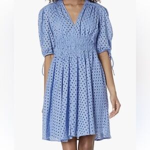 Taylor Stitch Light Blue Eyelet Midi Dress